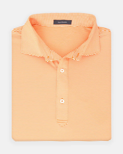 Carter Stripe Polo