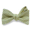 Bow Ties