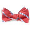 Bow Ties