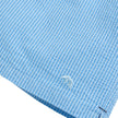 Coastal Seersucker Swim Trunk