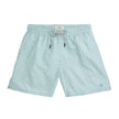 Aquifer Swim Trunk