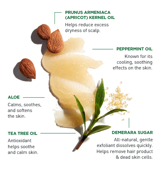 Exfoliating Scalp Scrub and Shampoo