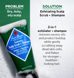 Exfoliating Scalp Scrub and Shampoo