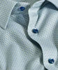 Sage & Blue Micro Ombre Dress Shirt