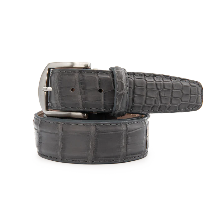 American Alligator - Grey Belt